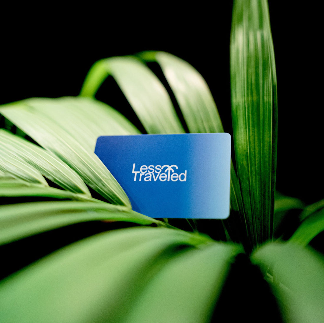 blue digital business card using nfc technology for networking